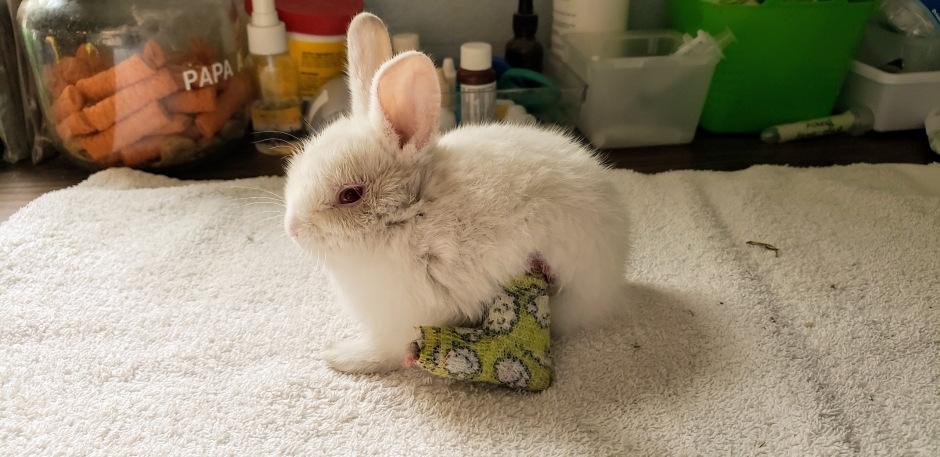 Resized_20190409_174745